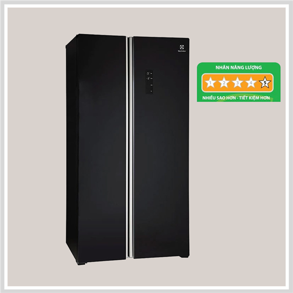 Tủ Lạnh Electrolux ESE6201BG-VN